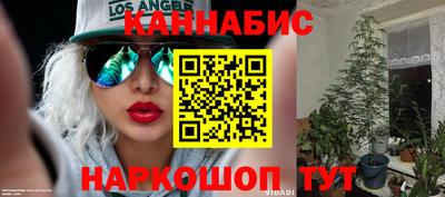 индика Конаково