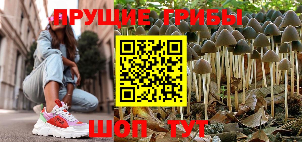 Комсомольск-на-Амуре  Псилоцибиновые грибы Magic Shrooms  Вход с VPN 