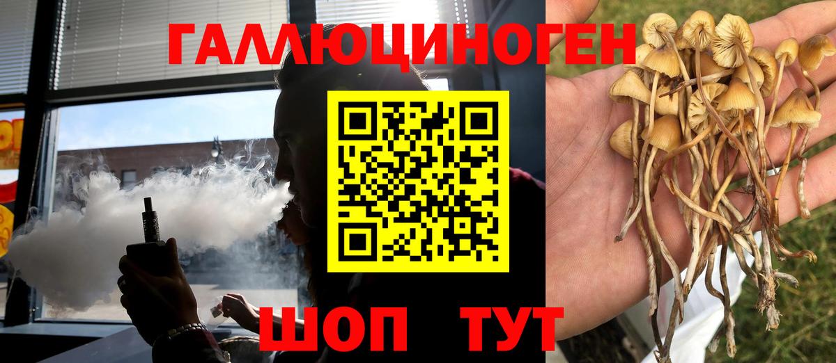 Псилоцибиновые грибы Psilocybe Комсомольск-на-Амуре